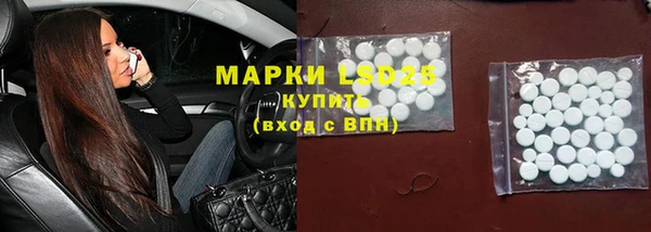 ECSTASY Белокуриха